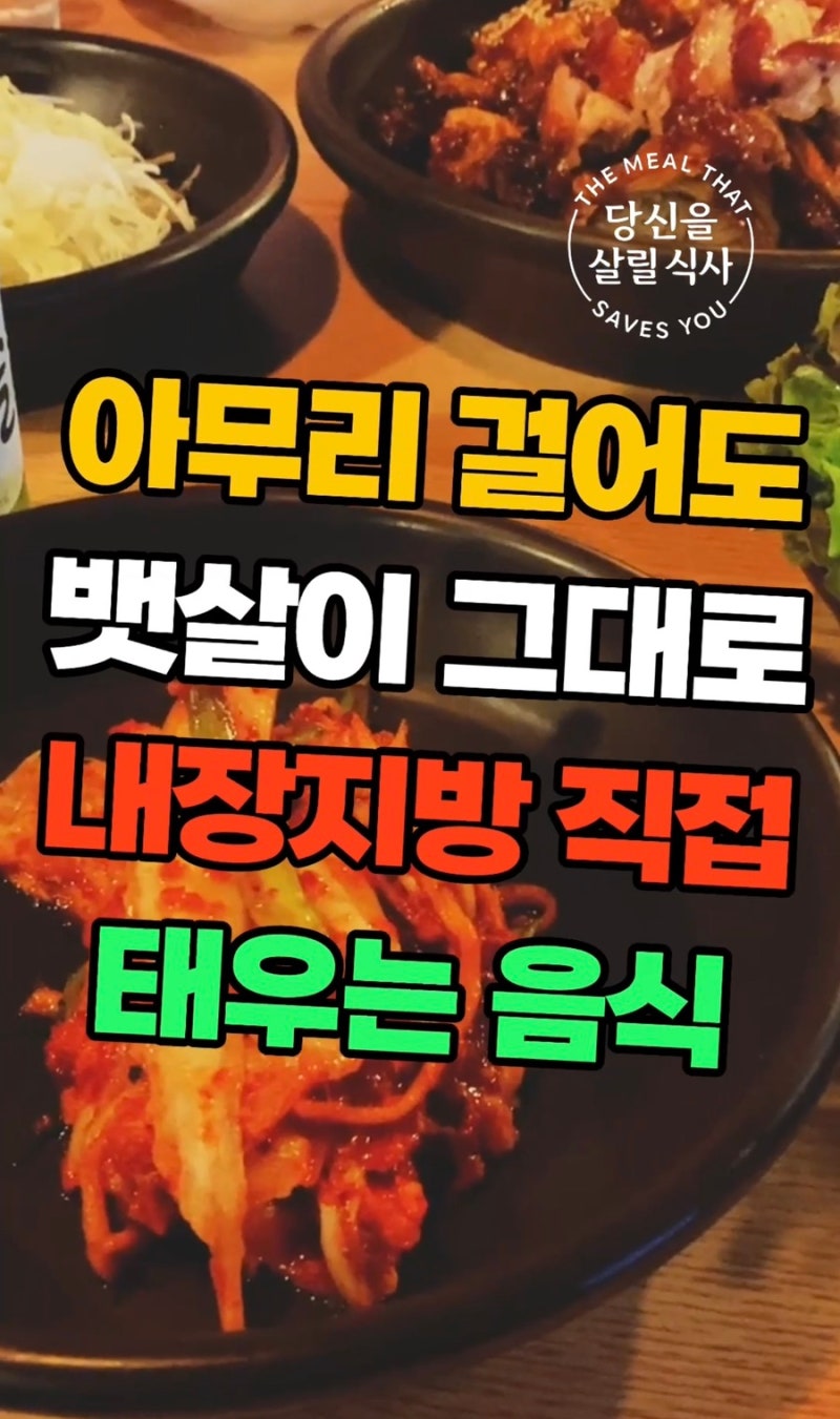 내장지방과 식사 조합 대표 글